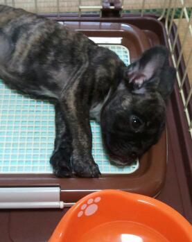 株式会社万建のブログ