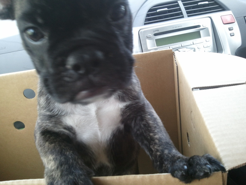 株式会社万建のブログ