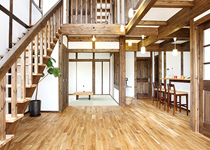 gallery 写真